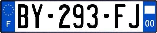 BY-293-FJ