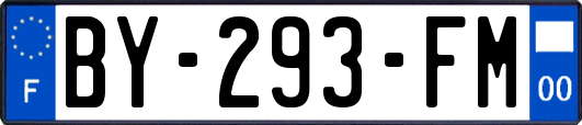 BY-293-FM