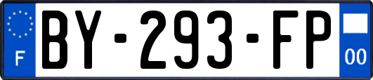 BY-293-FP