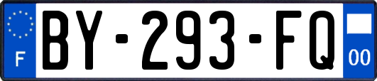 BY-293-FQ