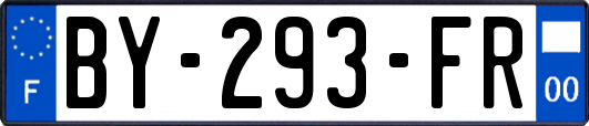 BY-293-FR