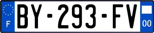 BY-293-FV