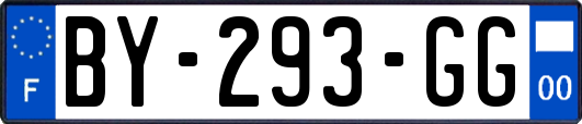 BY-293-GG