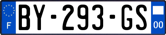 BY-293-GS
