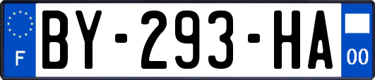 BY-293-HA