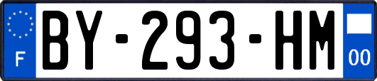 BY-293-HM