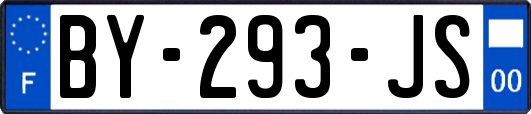 BY-293-JS