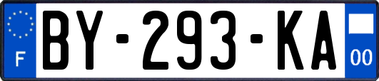 BY-293-KA