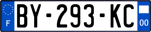 BY-293-KC
