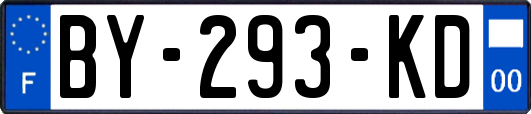 BY-293-KD