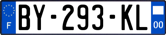 BY-293-KL