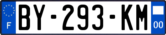 BY-293-KM
