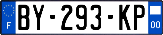 BY-293-KP