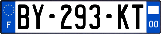BY-293-KT