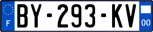 BY-293-KV