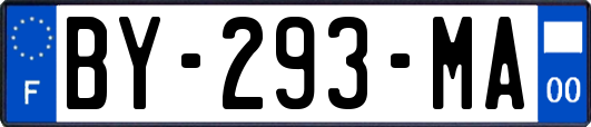 BY-293-MA
