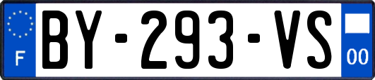 BY-293-VS