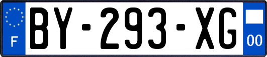 BY-293-XG