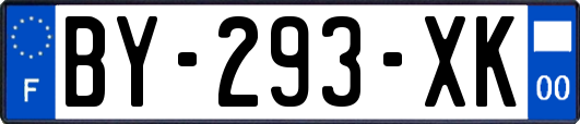 BY-293-XK