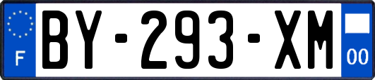 BY-293-XM