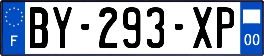 BY-293-XP