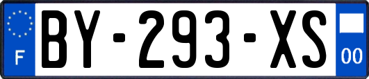 BY-293-XS