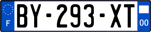 BY-293-XT
