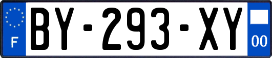 BY-293-XY