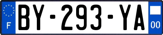BY-293-YA