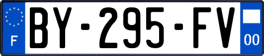 BY-295-FV