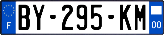 BY-295-KM