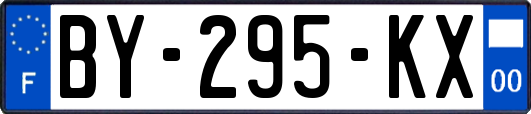 BY-295-KX
