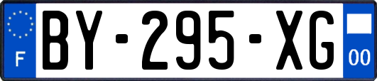 BY-295-XG