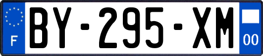 BY-295-XM