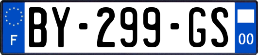 BY-299-GS