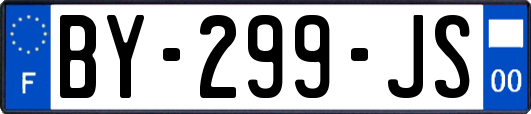 BY-299-JS