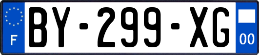 BY-299-XG