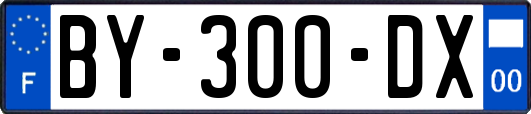 BY-300-DX