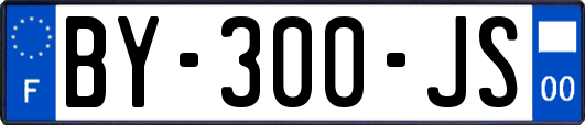 BY-300-JS