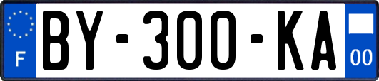 BY-300-KA