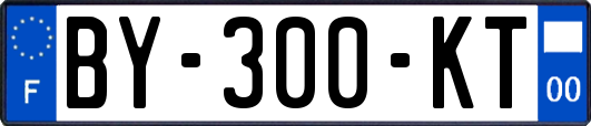 BY-300-KT