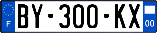 BY-300-KX