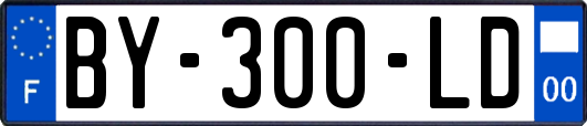 BY-300-LD