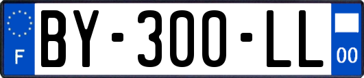 BY-300-LL