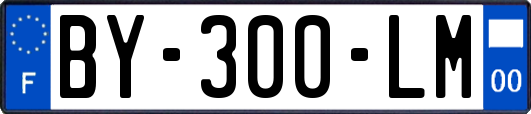 BY-300-LM