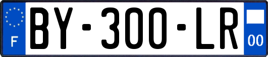 BY-300-LR