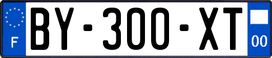 BY-300-XT