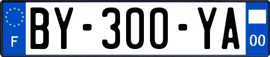 BY-300-YA