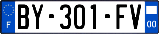 BY-301-FV