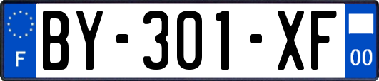 BY-301-XF